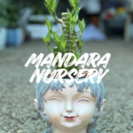 Profile picture of Mandara Nursery